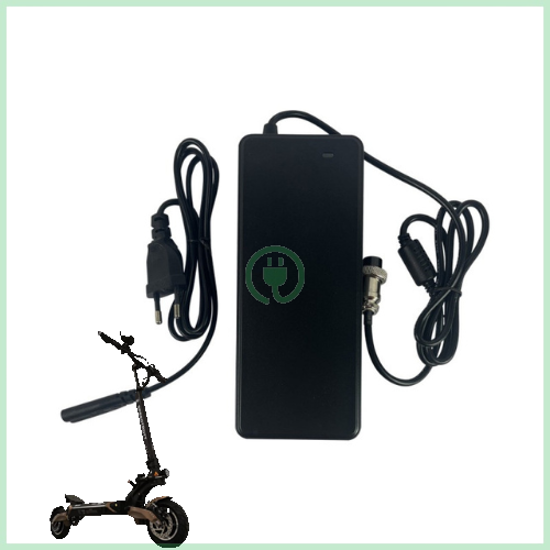 Chargeur pour SPEEDTROTT RX 2.4 DUAL MOTOR