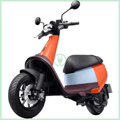 Chargeur pour Gogoro Viva