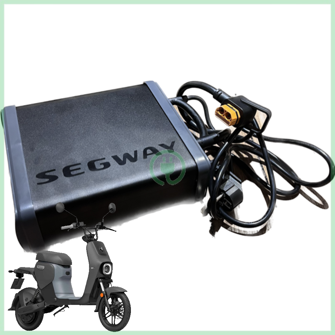 Chargeur d’origine pour Segway B110s